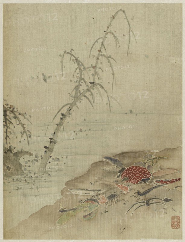 Album, 1661.
