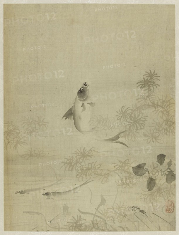Album, 1661.