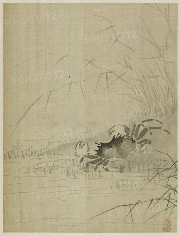 Album, 1661.