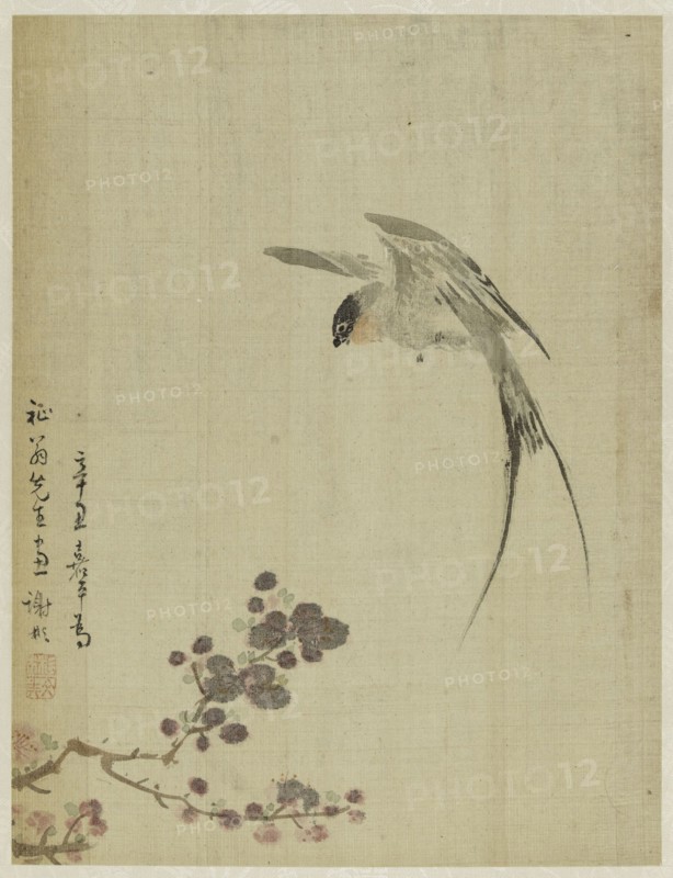 Album, 1661.