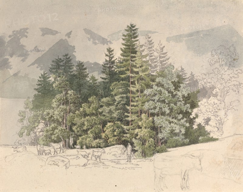 Alpine Landscape.