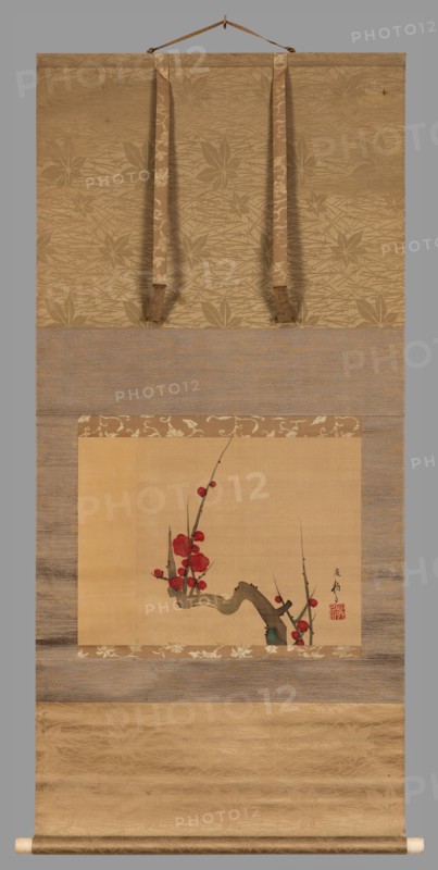 Plum blossom, c.1801.