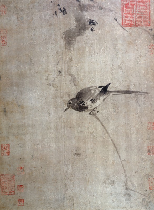 Wagtail, between 1200 and 1300.