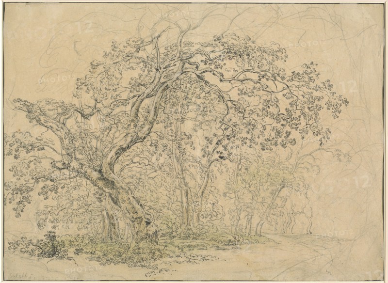Grove of Trees [verso], c. 1835.