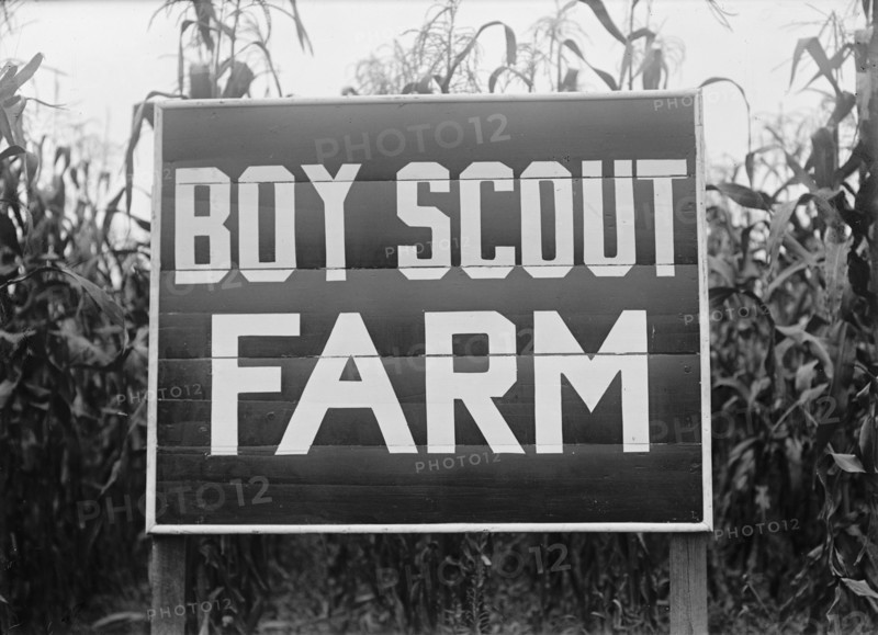 Boy Scouts, Boy Scout Farm, 1917.