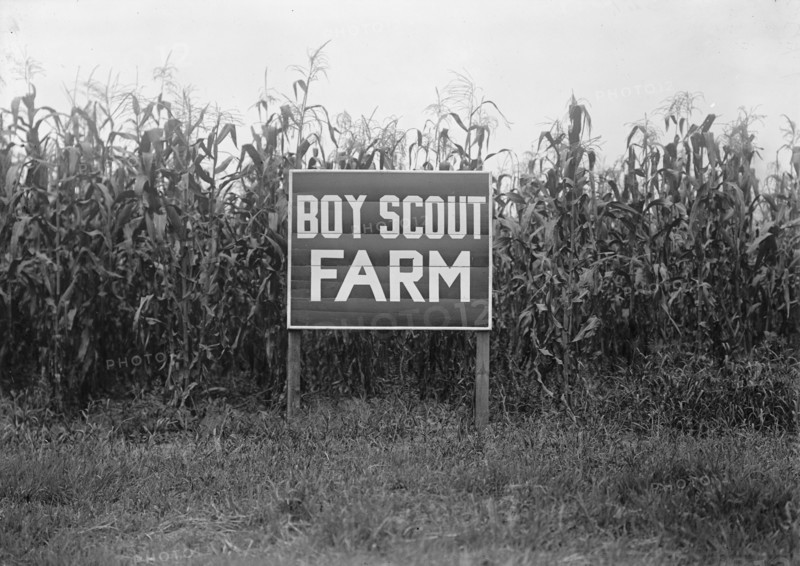 Boy Scouts, Boy Scout Farm, 1917.
