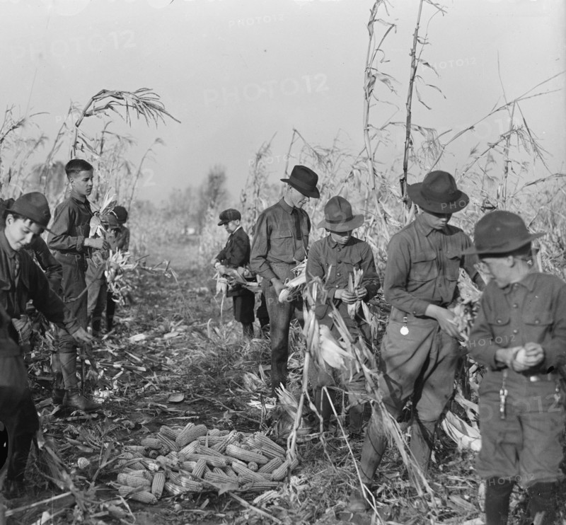 Boy Scouts, Boy Scout Farm, 1917.