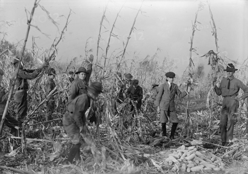 Boy Scouts, Boy Scout Farm, 1917.