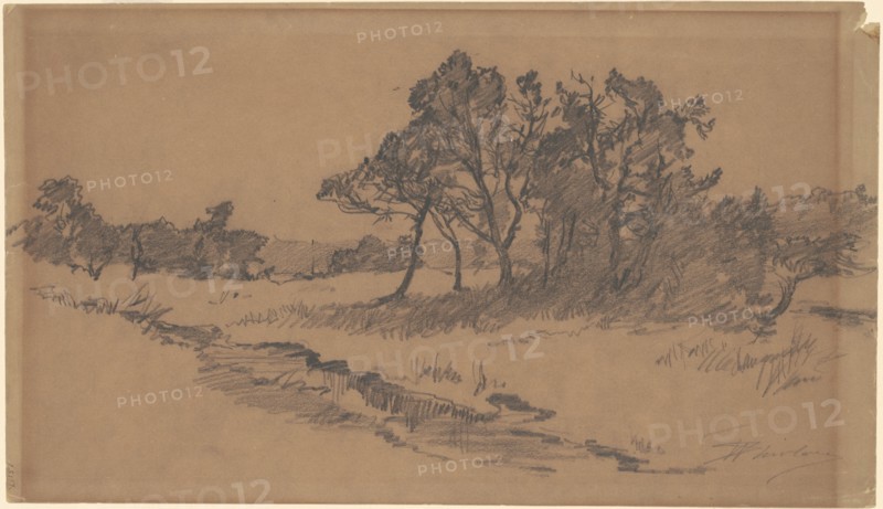 Trees in a Field, late 19th century.