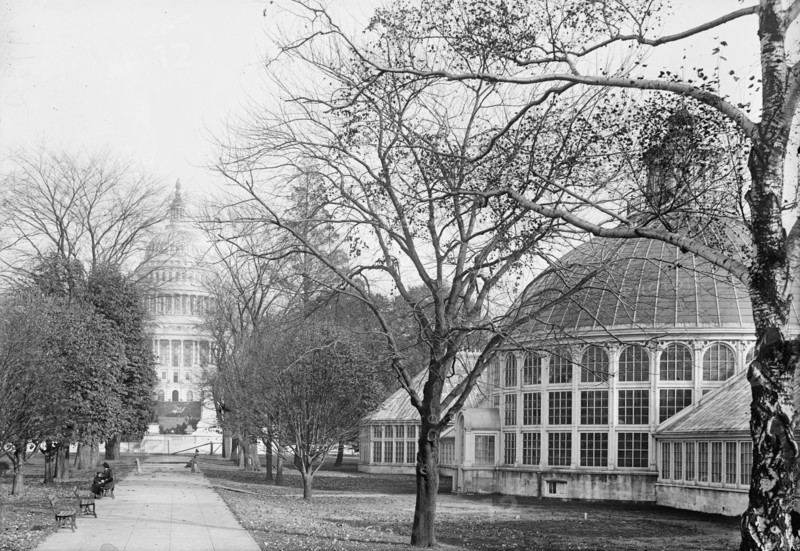 Botanical Gardens At The Capitol, 1917.