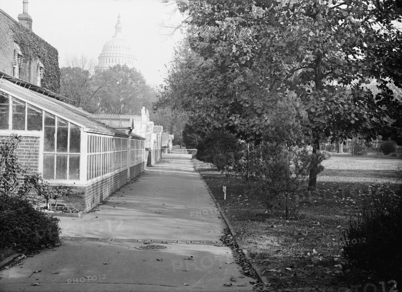 Botanical Gardens At The Capitol, 1917.