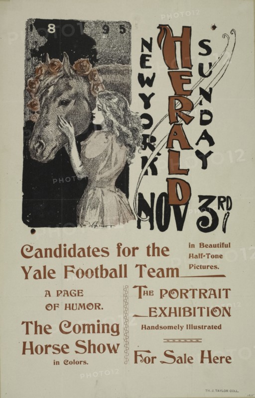 New York Sunday herald. Nov 3rd., c1895.