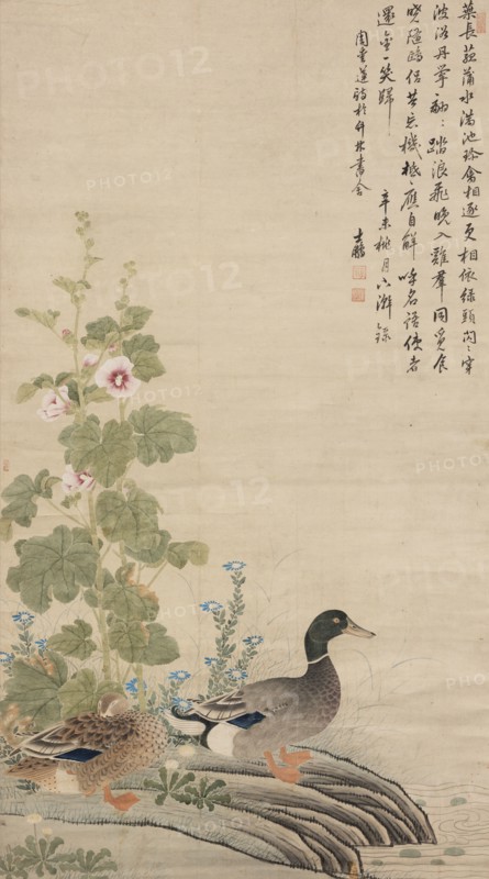 Ducks and hollyhocks, between 1912 and 1949.