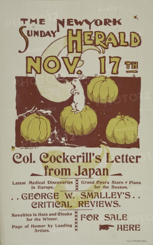 The New York Sunday herald. Nov. 17th., c1895.