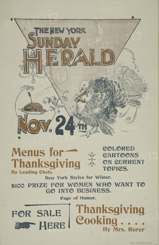 The New York Sunday herald. Nov. 28th., c1895.