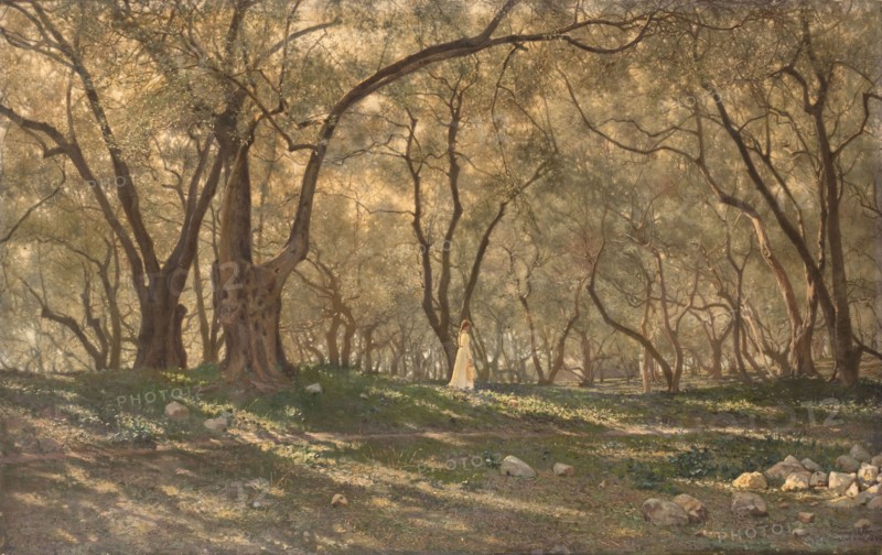 Young girl under the olive trees - Menton, c.1897.