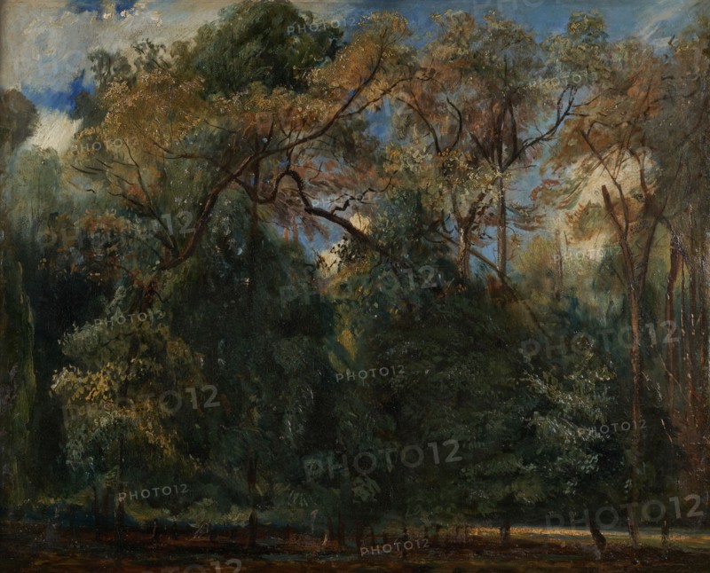 Les ormes de Saint-Cloud, 1823. Creator: Paul Huet.