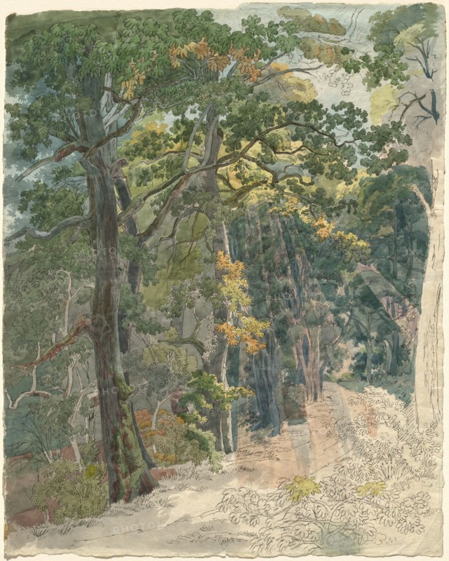 Rays of Sunlight Striking a Woodland Path, c. 1815.