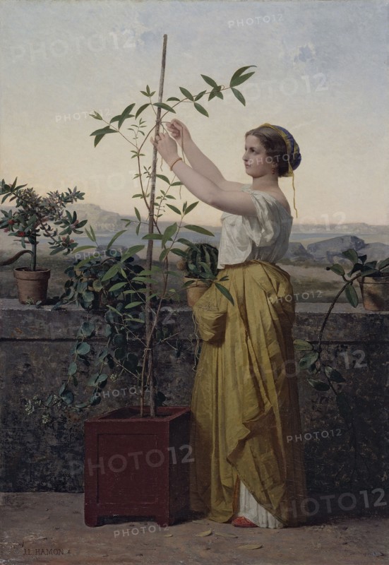 Tutelle, c.1861. Woman attaching climbing plant to support.