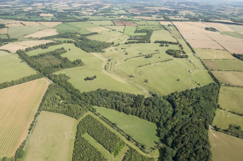 Lodge Park, deer course and hunting park, Gloucestershire, 2016.