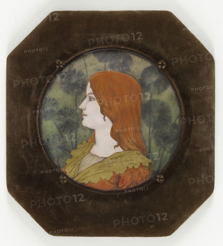 Young woman in profile, before 1895.  Creator: Etienne Tourrette.