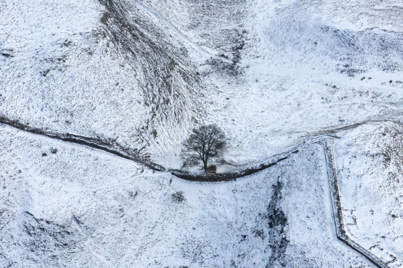 Sycamore Gap Tree on Hadrian's Wall in the snow, Northumberland, 2018.