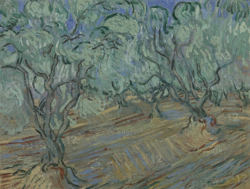 Olive grove, 1889. Found in the collection of the Van Gogh Museum, Amsterdam.