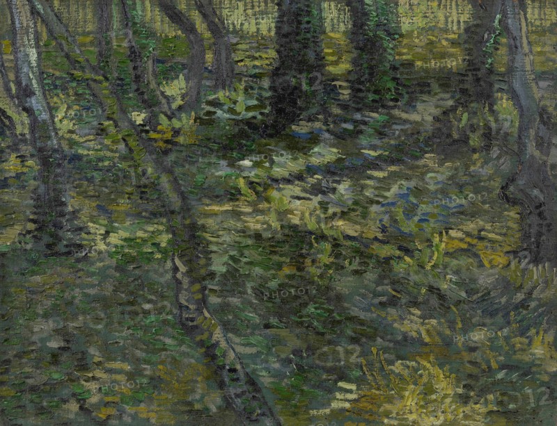 Undergrowth, 1889. Found in the collection of the Van Gogh Museum, Amsterdam.