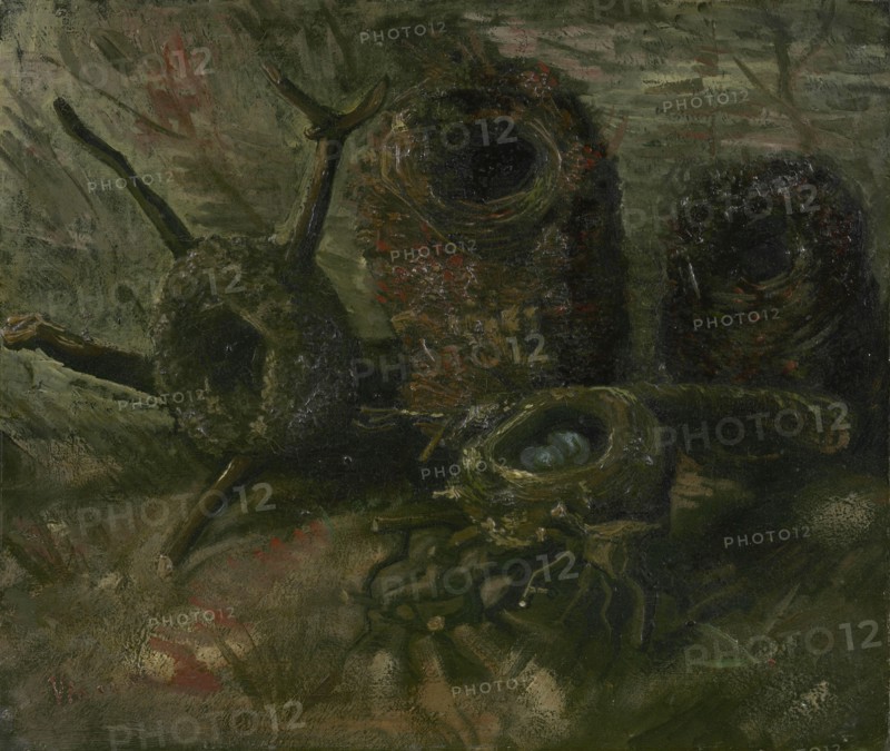 Birds' Nests, 1885. Found in the collection of the Van Gogh Museum, Amsterdam.