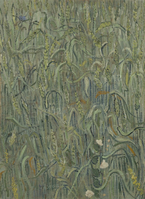 Ears of Wheat, 1890. Found in the collection of the Van Gogh Museum, Amsterdam.
