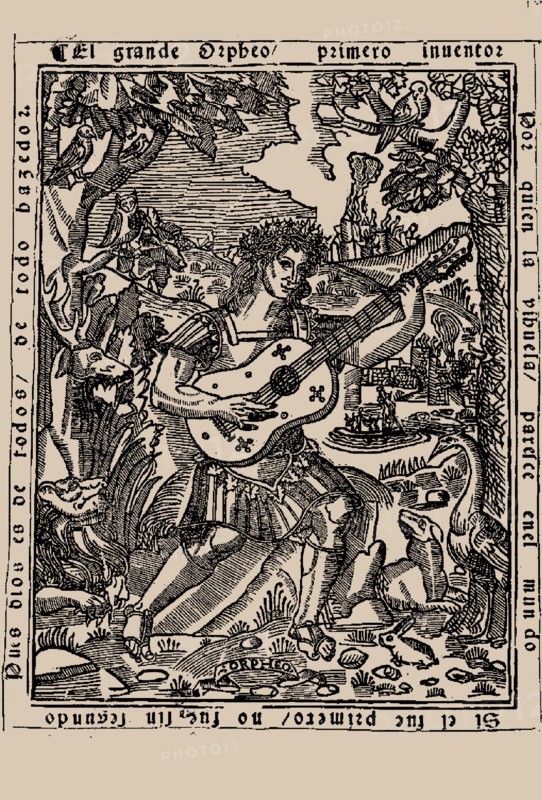 Portrait of Luis de Milán (1500-1561). From "El maestro", 1536. Private Collection.
