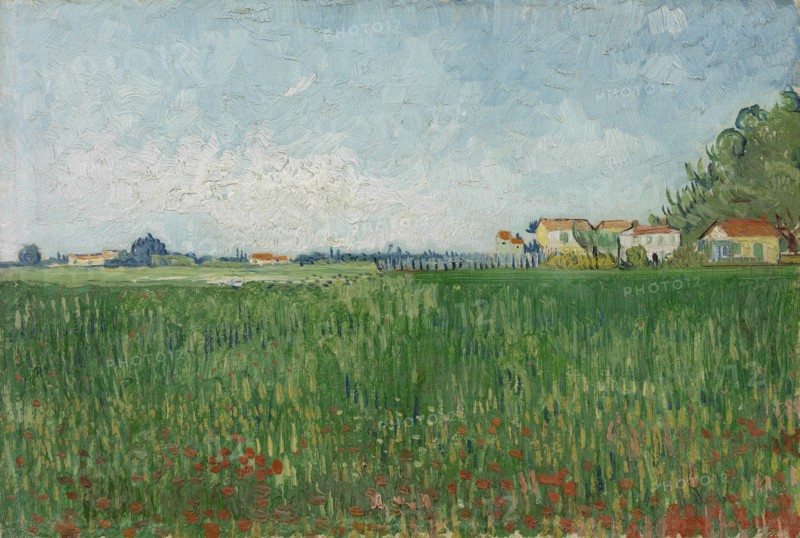 Field with Poppies, 1888. Found in the collection of the Van Gogh Museum, Amsterdam.