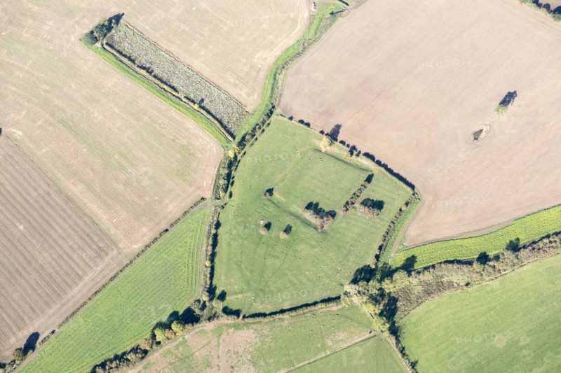 Site of St Andrews College and moat earthwork, Acaster Marshes, North Yorkshire, 2018.