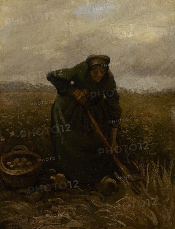 Woman Lifting Potatoes, 1885. Found in the collection of the Van Gogh Museum, Amsterdam.