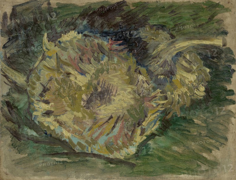 Sunflowers Gone to Seed, 1887. Found in the collection of the Van Gogh Museum, Amsterdam.