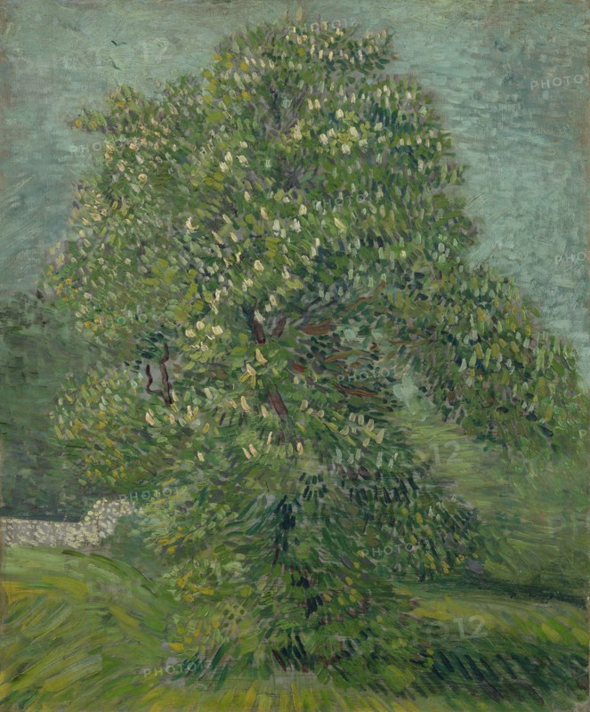 Blossoming Chestnut Tree, 1887. Found in the collection of the Van Gogh Museum, Amsterdam.