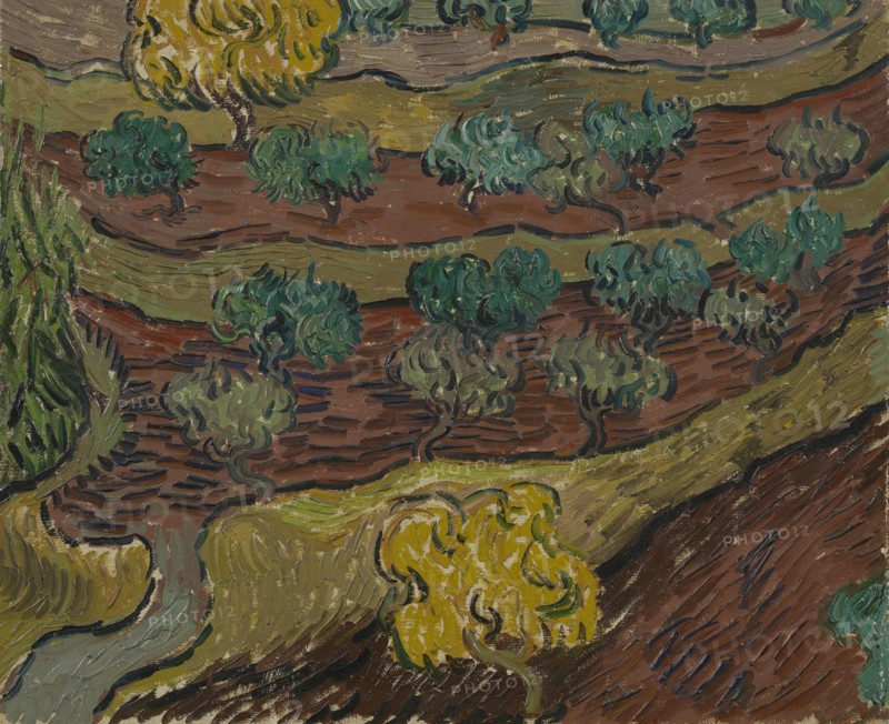 Olive Trees on a Hillside, 1889. Found in the collection of the Van Gogh Museum, Amsterdam.