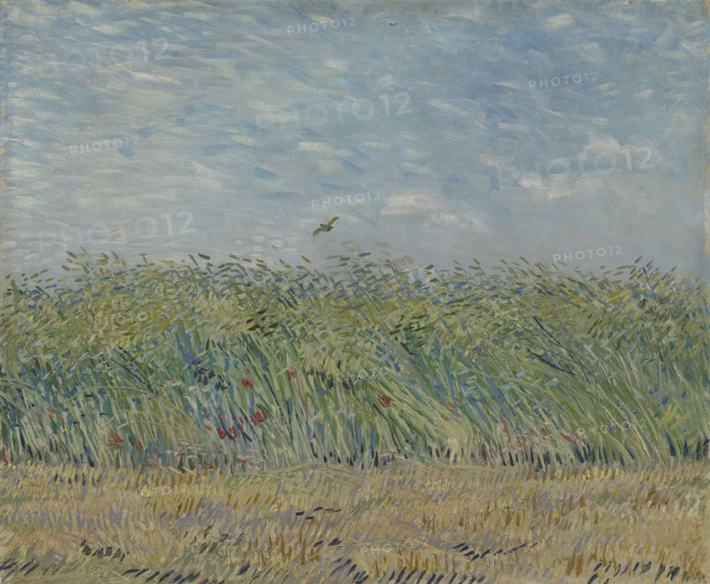 Wheatfield with Partridge, 1887. Found in the collection of the Van Gogh Museum, Amsterdam.