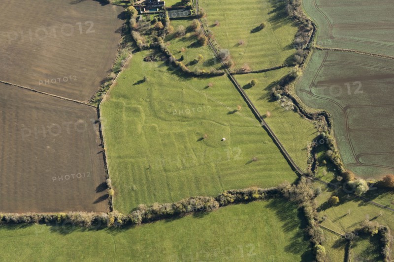 The deserted medieval village earthworks of Upper Ditchford, Aston Magna, Gloucestershire, 2016.