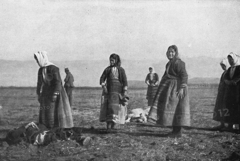 'Les premieres victimes des aeroplanes allemands, le 30 decembre : deux moutons..., 1915. Creator: Unknown.