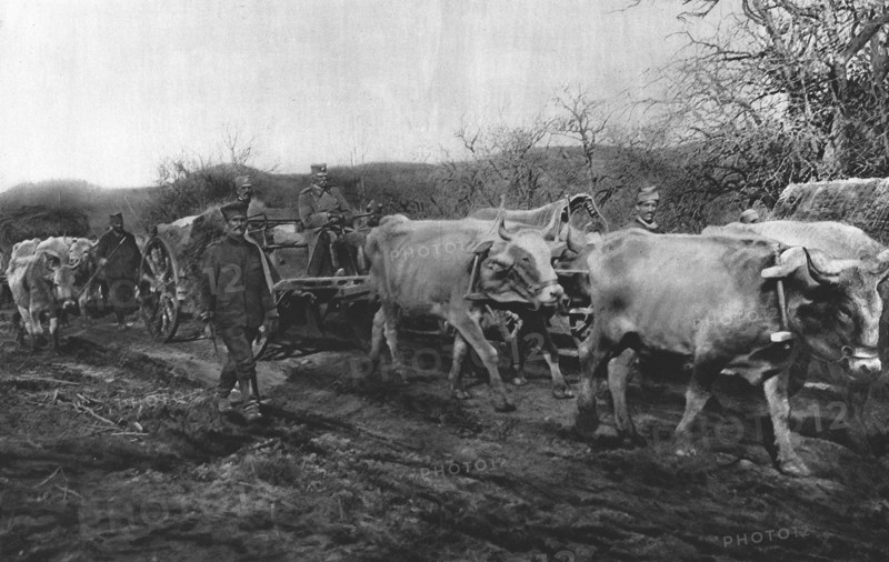 'La Tragedie Serbe; Pierre 1er Karageorgevitch quittante le territoirede la Vieille..., 1916. Creator: Vladimir Betzitch.