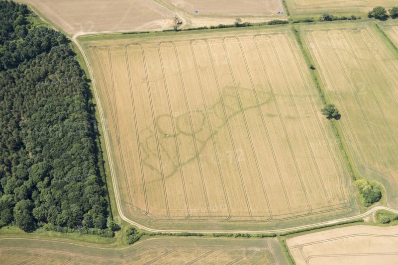 Cropmarks of an Iron Age and Roman settlement, West Northamptonshire, 2017.