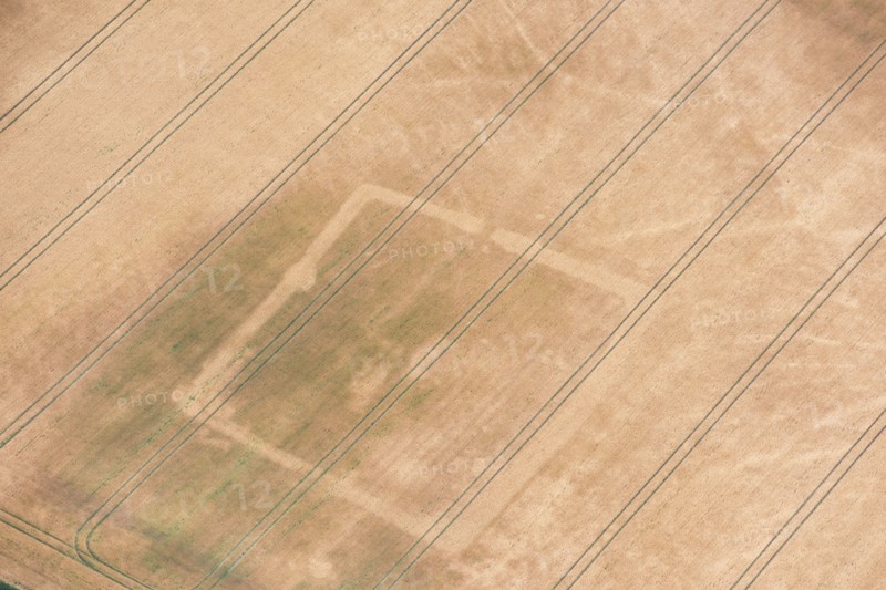 Rectilinear enclosure crop mark showing in the hot summer of 2018, near Linton, Cambridgeshire, 2018.