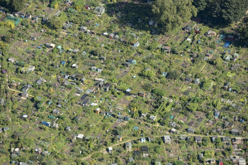 Allotments at Fulham Palace, Greater London Authority, 2021.