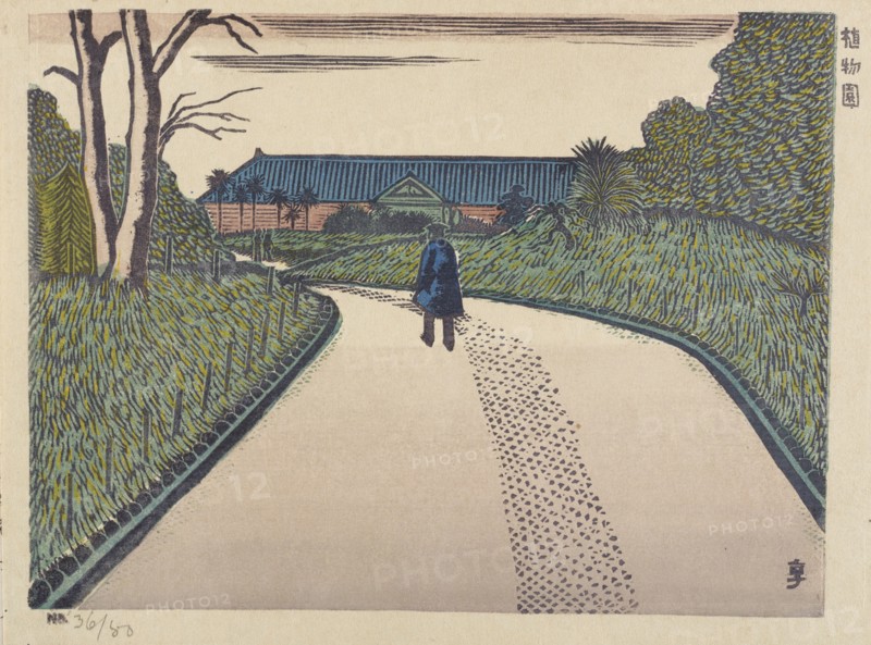 Botanical Garden, 1929.