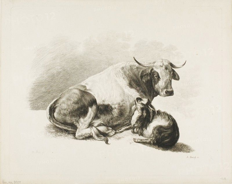 Animal Piece, n.d.