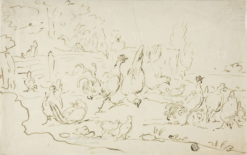Chickens and Roosters in Yard, n.d.