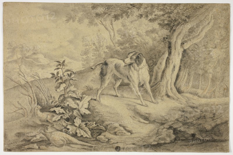 Hunting Dog in Woods, n.d. Attributed to James Barenger the younger.