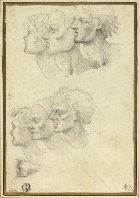 Sketches of Three Male Heads in Profile, 1580/1600.