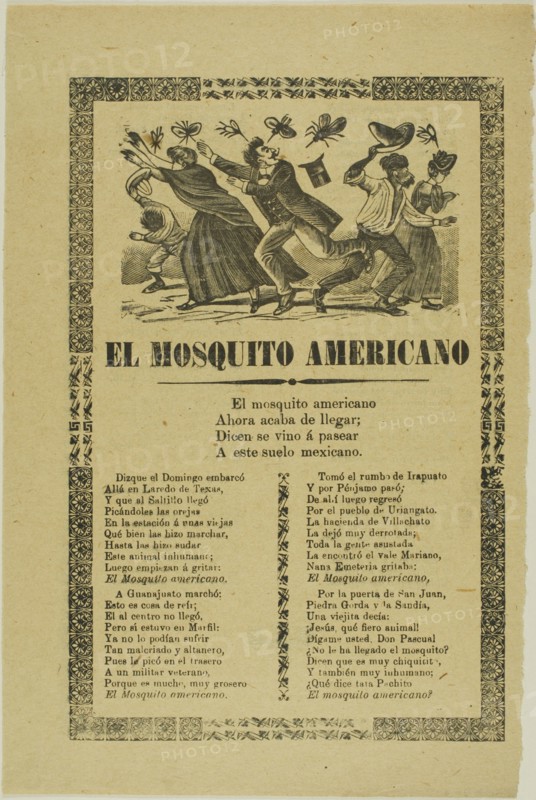 The American Mosquito, n.d.